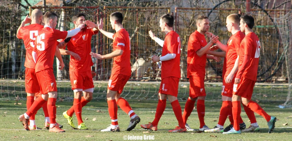 FK Vojvodina  (1)