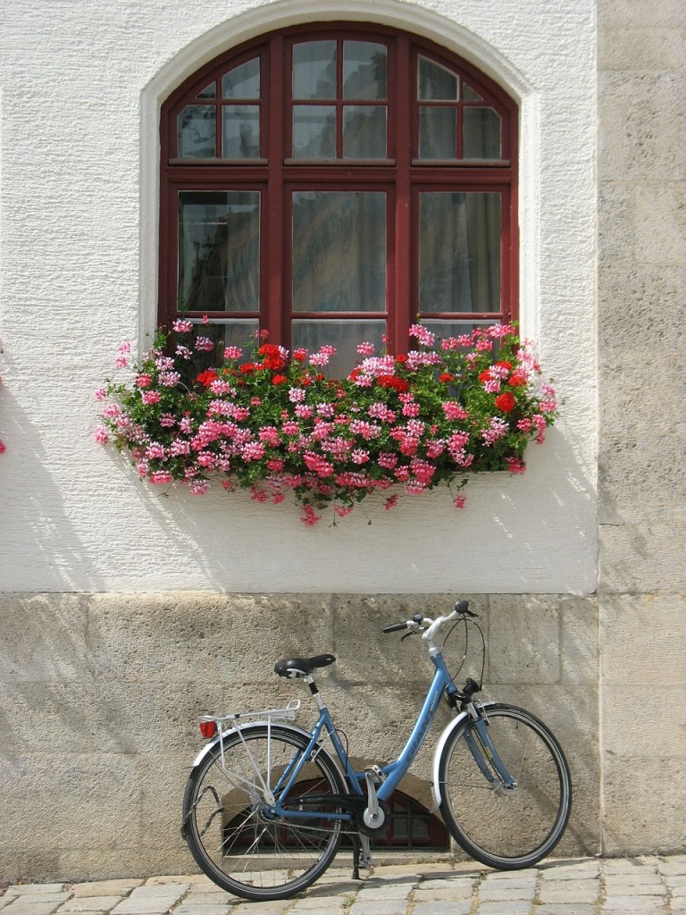 Bicikl (1)