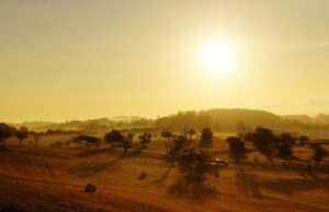 Nedelja u Novom Sadu uz sunce