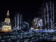 “Ledena šuma” od četvrtka u Dunavskom parku