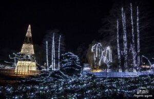 “Ledena šuma” od četvrtka u Dunavskom parku