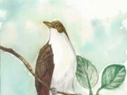 Izložbe dečjih radova od subote u NSDKC-u