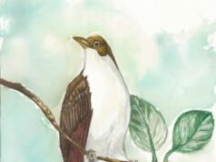 Izložbe dečjih radova od subote u NSDKC-u