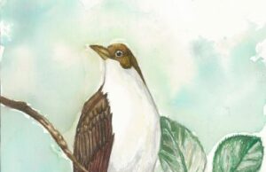 Izložbe dečjih radova od subote u NSDKC-u