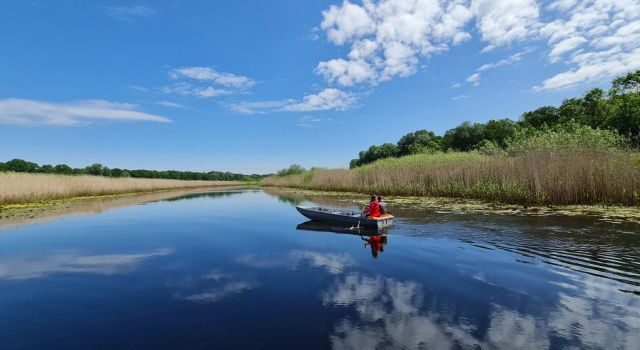 Plutajuća ostrva i veštačka inteligencija rešenja zasnovana na prirodi u obnovi Koviljsko-petrovaradinskog rita, Gornjeg Podunavlja i Obedske bare